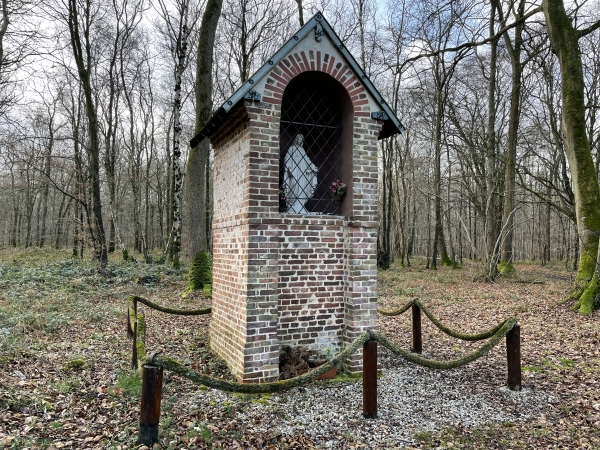Le Massif du Pimont de la forêt domaniale d'Eawy est bien connu des fidèles de BaladesEnNormandie.fr. Arrivé à cet oratoire, je quitte la Foute Forestière Centrale (un large chemin), pour prendre le chemin de Meulers.