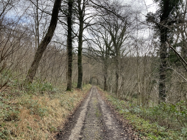 Le chemin descend vers la vallée sèche du Fond de Meuse.