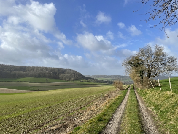 Je sors de la forêt. Le chemin domine maintenant le Fond de Meuse.