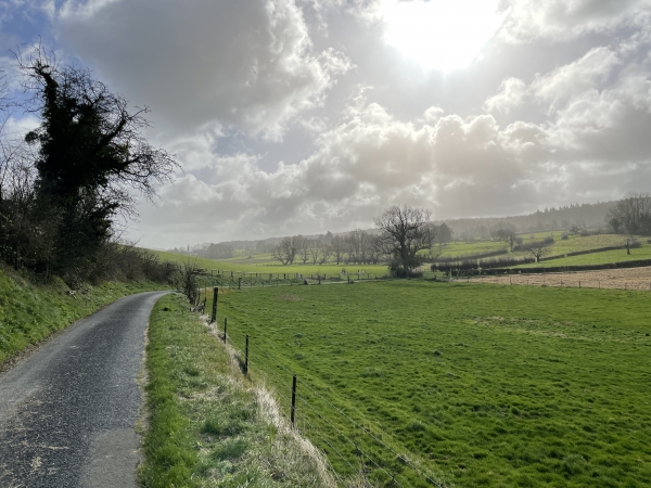 Je quitte la petite route de Beau Soleil pour suivre cette encore plus petite route qui traverse le Fossé du Fond de Meuse.