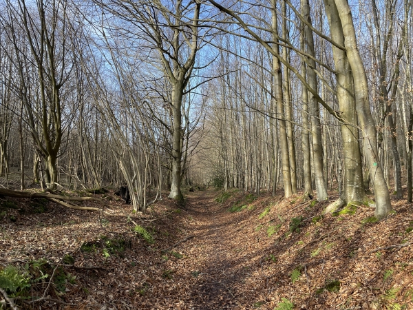 Après le sommet, je redescends par le chemin du Val des Grès Croc.