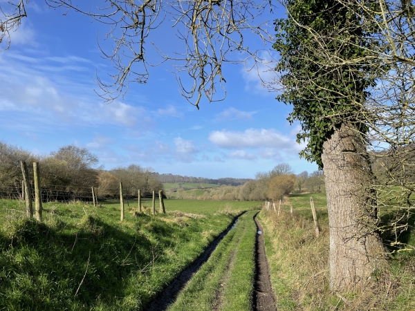 Je quitte la forêt et continue dans le Val du Bos. Cette randonnée ne manque pas de variété de paysages !