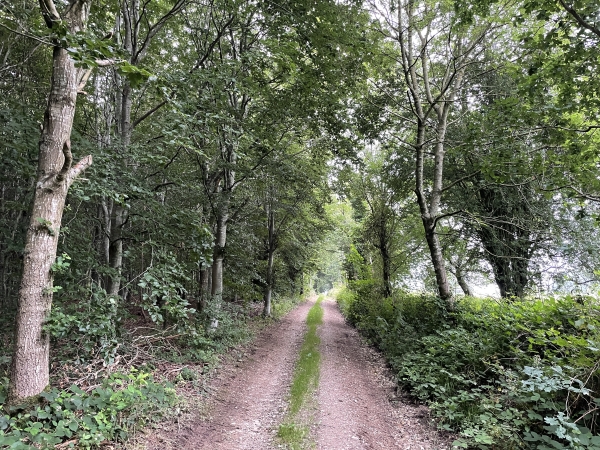 Nous montons sur le plateau.