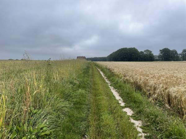 Nous traversons la plaine du Bosmelet en direction du château.