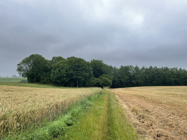 Nous allons faire le tour du château, pour le moment nous continuons vers le nord.