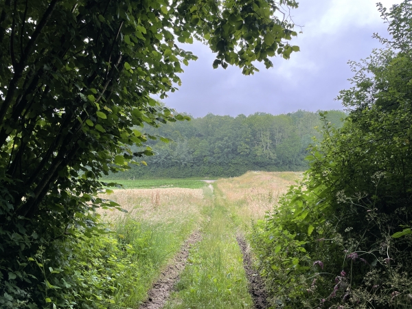 Nous descendons vers la D48 que nous allons suivre sur la droite.