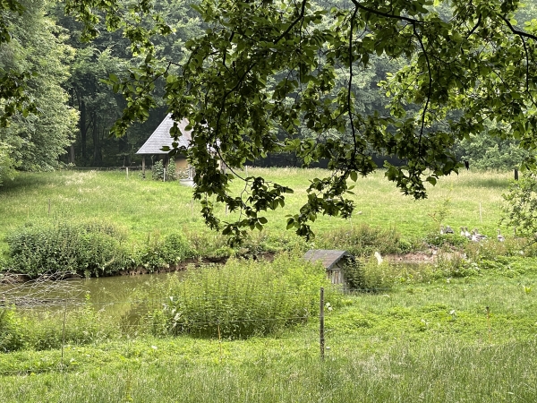 La Petite Garenne, sa mare aux canards et son vieux four à pain.