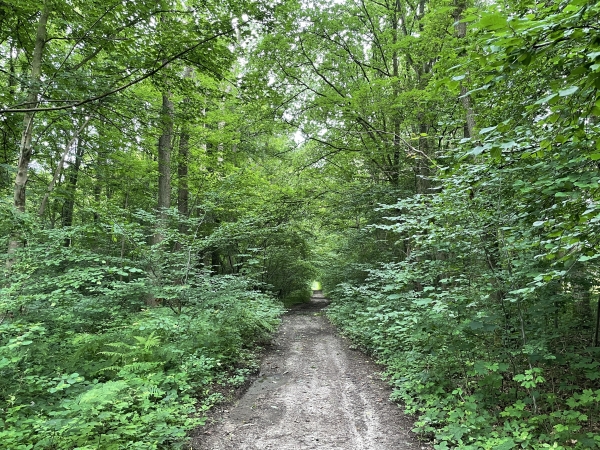 Nous longeons le bois de Heucleu.