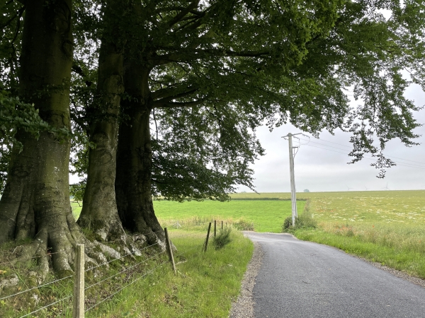 Nous traversons la D96 pour rejoindre la plaine des Pâtis.