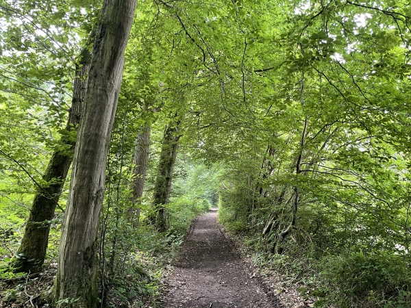 Avant Ordemare, nous prenons le chemin du chasse-marée en direction de la Scie.