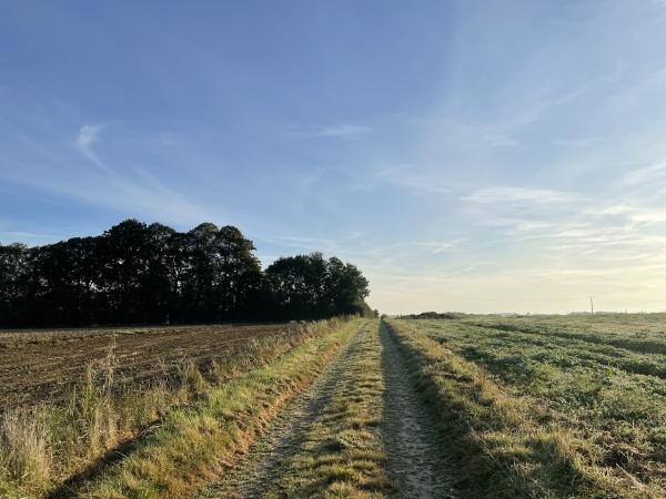 Après avoir traversé la D149, nous suivons le chemin de la Briquetterie qui traverse en ligne droite la plaine de Longueville.