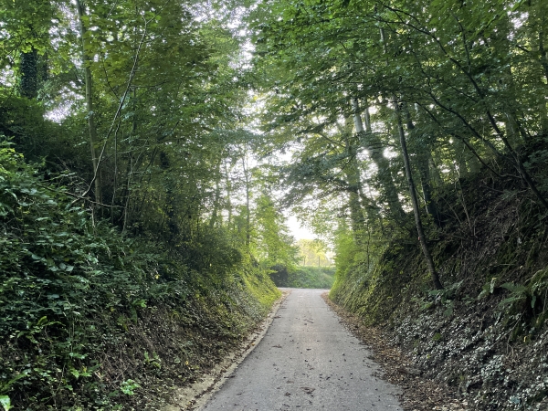 Le chemin de la Briquetterie devient une petite route sur les hauteurs de Longueville. Nous allons rejoindre ici la route de Creppeville pour entrer dans le bourg.
