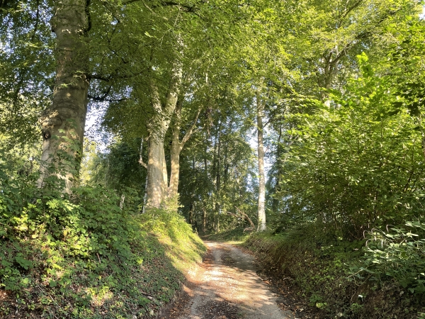 Nous quittons la rue de Newton Longville pour suivre le sentier des Bois qui monte vers Creppeville.