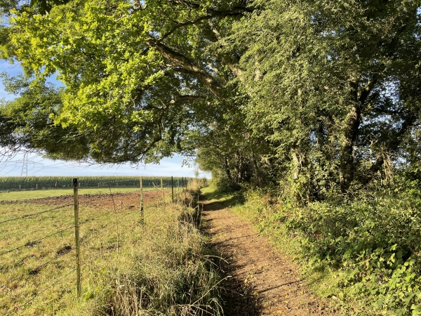 Cet agréable chemin traverse le lieu-dit Le Pendu. Le lieu-dit voisin s'appelle le Gibet. Vestiges de l'histoire de la justice dans la vallée de la Scie.