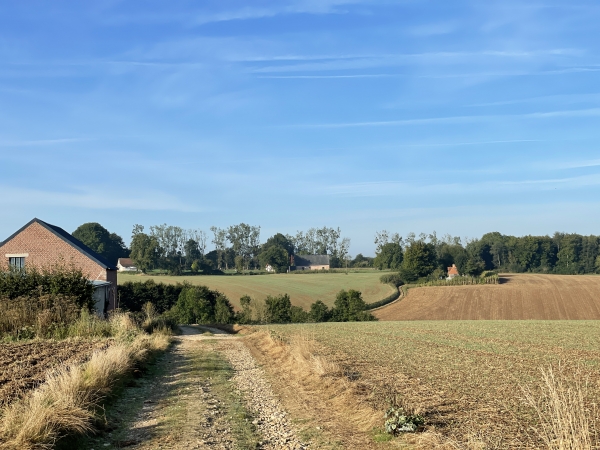 Nous approchons de Creppeville, mais nous allons tourner à droite, dans le petit vallon en face de nous, pour descendre en direction du Fond de Lintot.