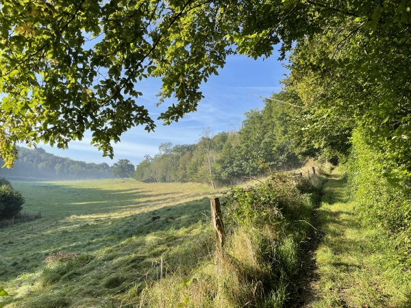 Après avoir suivi la D276 entre les bois de Creppeville et des Bouillets, nous montons vers Lintot-des-Bois.