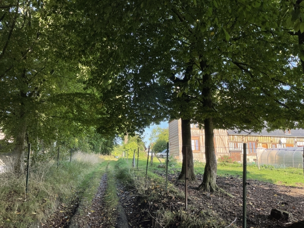 Nous n'allons pas entrer dans le bourg de Lintot-des-Bois, nous allons suivre les chemins vers le bois de Lintot.
