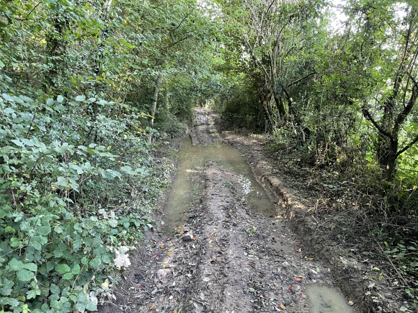 Quelques rares passages boueux dans le bois. Comme on le voit, on peut éviter la flaque par le côté, nous n'avons donc pas attribué de parapluie rouge à cet itinéraire.