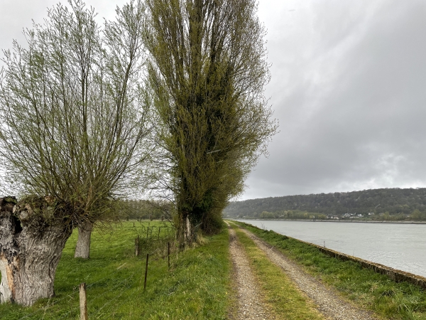 Nous suivons maintenant le chemin de halage. Nous allons profiter des paysages de bord de Seine sur plus de 5 kilomètres.