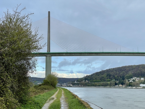 Nous passons sous le pont de Brotonne. Pont à Haubans dont la fine élégance contraste avec son voisin en amont, le pont Flaubert, massive pâtisserie de béton.