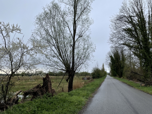 En face de Caudebec-en-Caux, nous quittons le chemin de halage et suivons la route du Bac. Il n'y a plus de bac à Caudebec-en-Caux depuis la construction du pont de Brotonne. Nous allons bientôt tourner à gauche sur le Chemin du Roi.