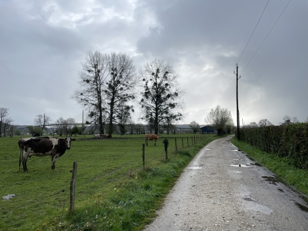 Nous marchons vers l'est sur le Chemin du Roi. Comme on le voit, depuis le départ nous marchons sur des chemins renforcés, et malgré la pluie abondante de ces derniers jours, nous ne pataugeons pas. Parapluie vert pour ce circuit.