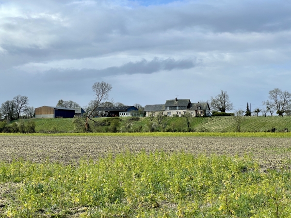 Nous arrivons à la limite du marais de Seine. Nous allons suivre le chemin qui sépare le marais du plateau, et qu'on devine avec sa rangée d'arbres.