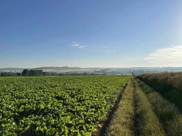 Nous suivons le chemin qui avance en ligne droite vers le hameau des Fontaines, dans les paysages de la vallée de l'Eaulne.
