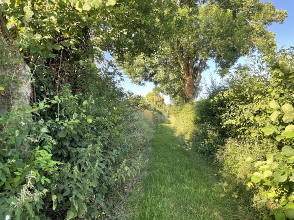 Nous allons, à nouveau, longer l'A28 sur 500 mètres.