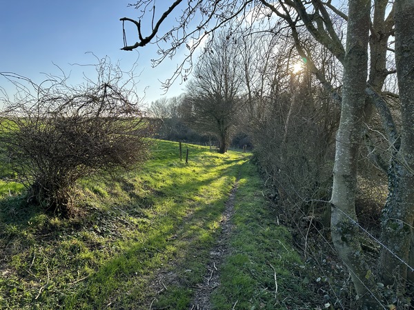 Sur le coteau, nous retrouvons enfin des chemins, ils ne sont pas si nombreux sur ce circuit.