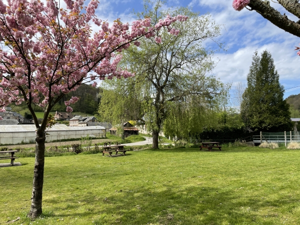 Nous quittons le parking en descendant vers l'aire de pique-nique aménagée près de la rivière.