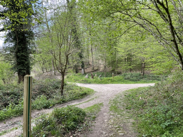 Voilà le carrefour des Quatre Chemins, nous allons suivre le deuxième à gauche.