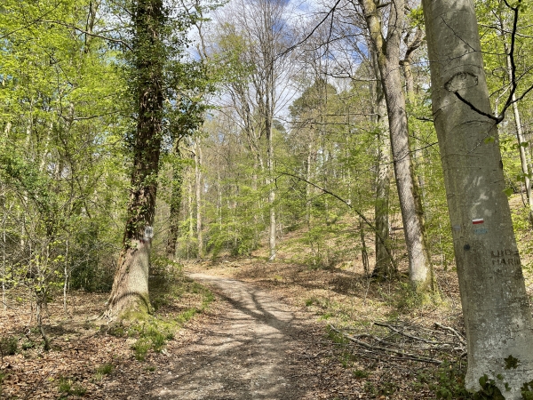 Nous rejoignons le GR211 sur le chemin des Forts.