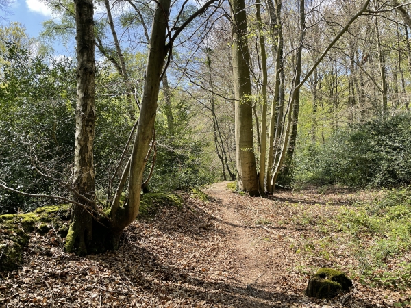 Non seulement ce sentier est très agréable, mais il évite la descente du GR211 au pied du Val Godard et la méchante remontée qui suit.