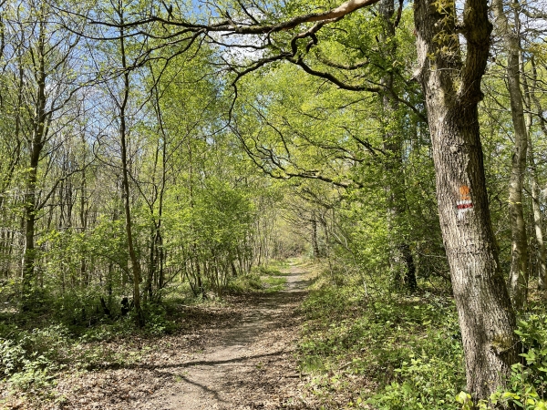 Nous retrouvons le GR211 au sud du lieu-dit Cul-de-Sac.