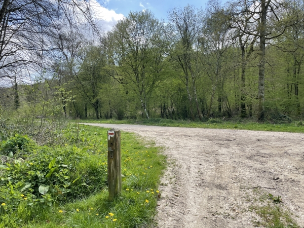 Nous redescendons vers la Route des Vaux, que nous prenons ici à gauche. Nous quittons le GR211.
