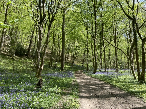Peu après le départ, le chemin s'éloigne de la D40 en montant un peu sur la colline de l'Ouraille.
