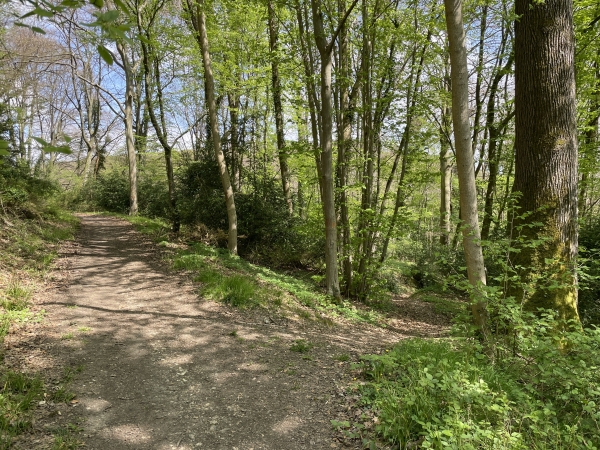 Juste avant que le chemin tourne vers le nord, un discret sentier permet de descendre vers Sainte-Gertrude.