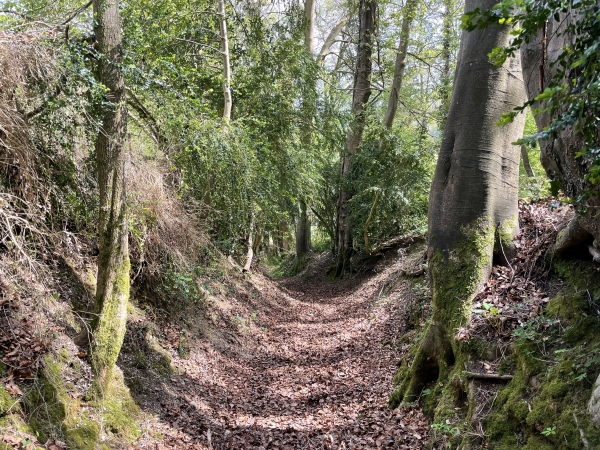 C'est un chemin creux qui relie le village au massif de l'Ouraille.