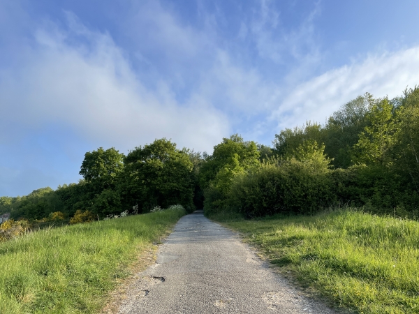 Nous partons de la rue H. Worms du Trait, en entrons ici en forêt domaniale du Trait-Maulévrier. Cette forêt de feuillus, au relief mouvementé, fait partie du Parc Naturel Régional des Boucles de la Seine.