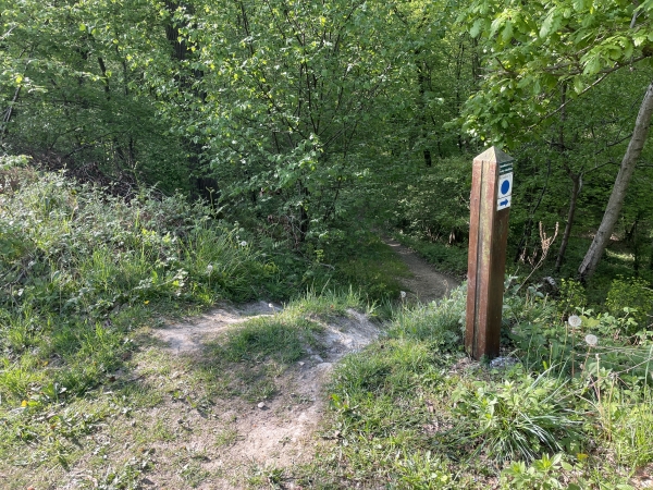 Peu avant la Haye des Perques, nous attrapons ce sentier qui descend vers la D20. Comme on le voit, le balisage du circuit est plutôt clair.