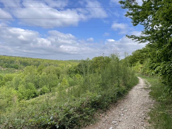Nous sommes au-dessus du vallon dans lequel se trouve la D20, que nous allons traverser dans 1200 mètres.