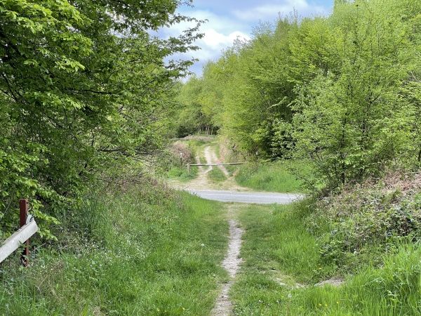 Nous voilà au niveau de la petite D20. Nous allons continuer sur le chemin, en face.