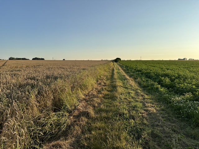 Nous partons du stationnement qui longe le stade, marchons sur la D34 sur 350 mètres, et rejoignons ce chemin qui avance à travers champs jusqu'au hameau du Cheval Blanc.