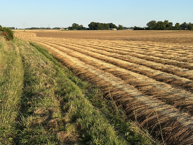 Nous arrivons au Cheval Blanc, nous allons traverser le hameau vers l'est.