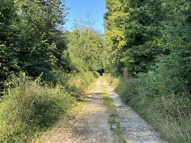 Nous tournons maintenant vers l'ouest, en direction de Saint-Aubin-de-Crétot.