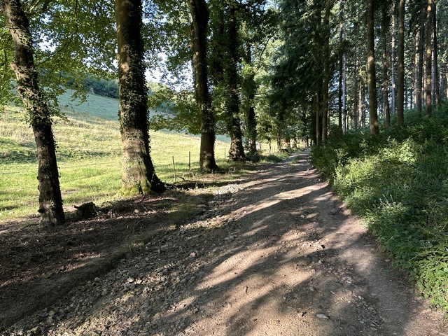 Le beau chemin de Bremare monte en pente douce vers Saint-Aubin-de-Crétot.