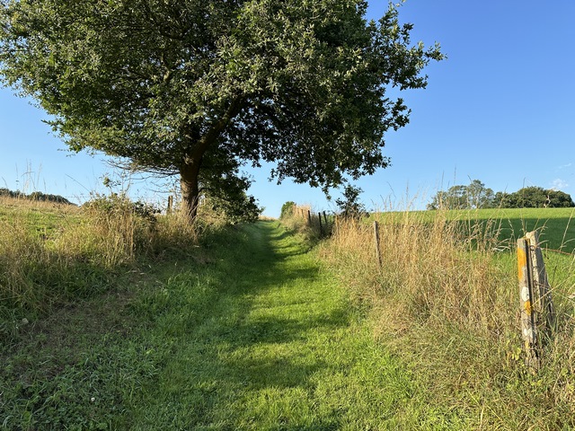 Entrée dans Saint-Aubin-de-Crétot par les chemins des champs.
