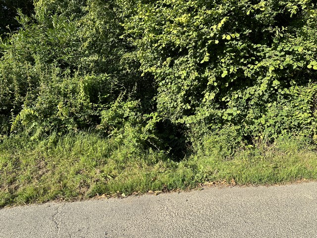 Au bout de la rue d'Houllebrèque, se trouve la discrète entrée du chemin qui descend dans le bois Rond. Ce chemin aussi manque d'entretien.