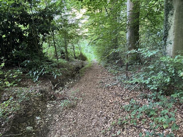 Nous descendons le bois Rond en ligne droite en direction de St-Nicolas-de-la-Haie.